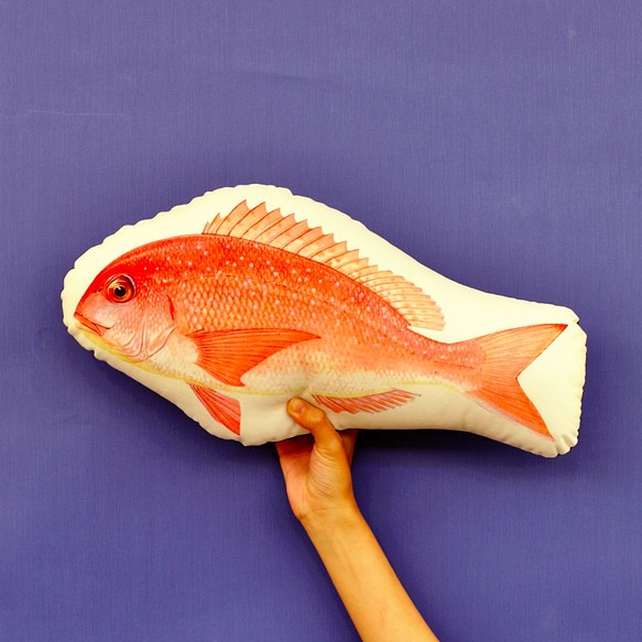 FunPrint 魚 抱枕 第1張的照片