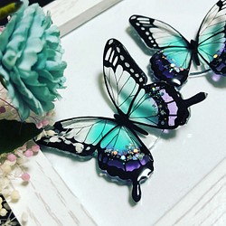 透き通るカラーの蝶々のヘアゴム　ポニーフックに変更可 1枚目の画像