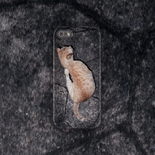 貓二 / cat two（2014）phone case 訂製 第1張的照片