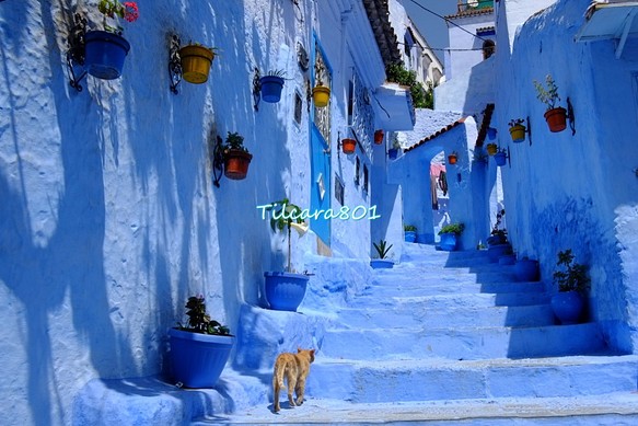 【送料無料】世界の絶景　モロッコ・蒼の街シャウエン 1枚目の画像