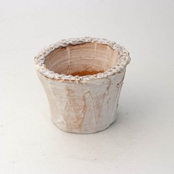 陶器製（２号ポット相当）多肉植物の欲しがる植木鉢 AAS-5116 1枚目の画像
