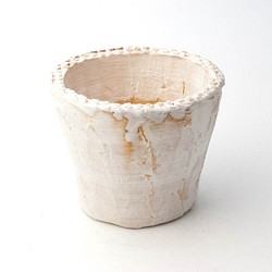 陶器製（3号ポット相当）多肉植物の欲しがる植木鉢 SMM-5197 1枚目の画像
