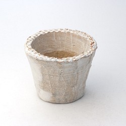 陶器製（2.5号ポット相当）多肉植物の欲しがる植木鉢 SMS-5386 1枚目の画像