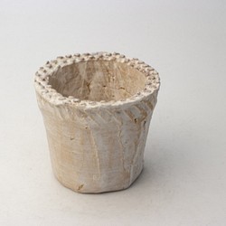 陶器製（2号ポット相当）多肉植物の欲しがる植木鉢 NSSS-5667 1枚目の画像