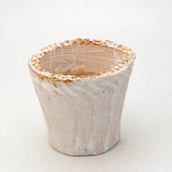 陶器製（2.5号ポット相当）多肉植物の欲しがる植木鉢 NSS-7953 1枚目の画像