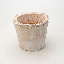 陶器製（2.5号ポット相当）多肉植物の欲しがる植木鉢 NSS-7960 1枚目の画像