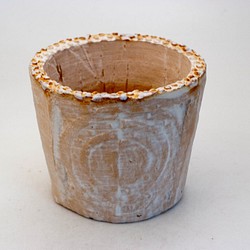 陶器製（3号ポット相当）多肉植物の欲しがる植木鉢 SSLd-9655 1枚目の画像