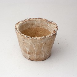 陶器製（２号ポット相当）　多肉植物の欲しがる植木鉢 aas-988 1枚目の画像