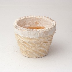 陶器製（２号ポット相当）　多肉植物の欲しがる植木鉢 AASc-2950イエロー 1枚目の画像