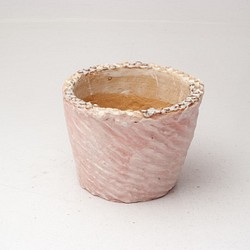 陶器製（２号ポット相当）　多肉植物の欲しがる植木鉢 AASc-2953ピンク 1枚目の画像