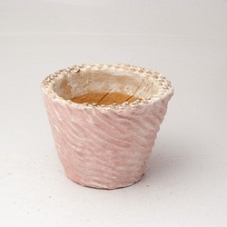 陶器製（２号ポット相当）　多肉植物の欲しがる植木鉢 AASc-2956ピンク 1枚目の画像