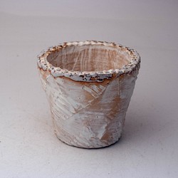 陶器製（2.5号ポット相当）　多肉植物の欲しがる植木鉢 OPS-4916 1枚目の画像