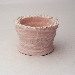 通販限定商品　陶器製（２号ポット相当）　多肉植物の欲しがる植木鉢 AASc-5213ピンク 1枚目の画像