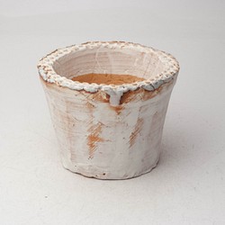陶器製（2.5号ポット相当）　多肉植物の欲しがる植木鉢 SMS-3816 1枚目の画像
