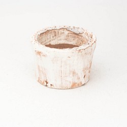 陶器製（２号ポット相当）　多肉植物の欲しがる植木鉢 PR-6444 1枚目の画像