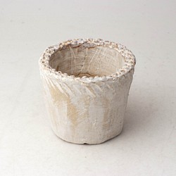 陶器製（2号ポット相当）多肉植物の欲しがる植木鉢 NSSS-3186 1枚目の画像