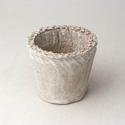 陶器製（2号ポット相当）多肉植物の欲しがる植木鉢 NSSS-3192 1枚目の画像