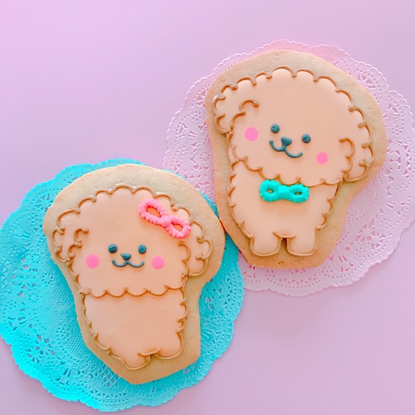toy poodle cookie 1枚目の画像