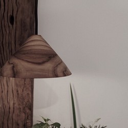 柚木teak 吊燈燈罩 第1張的照片