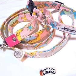 【セール品】メルヘンデザインの首輪とリードセット（小型～中型犬用） 1枚目の画像