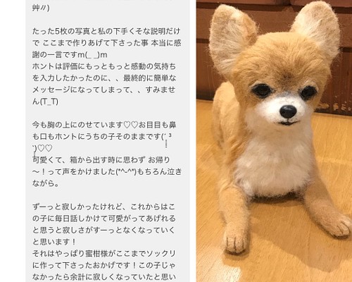 羊毛フェルト オーダー チワワ 犬 Ｍサイズ ハンドメイド ぬいぐるみ