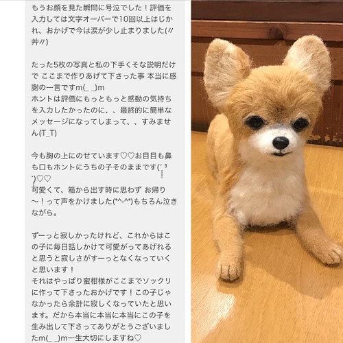 羊毛フェルト オーダー チワワ 犬 ｍサイズ ハンドメイド ぬいぐるみ ペットロス うちの子 羊毛フェルト 羊毛フェルトbonbon Sucre 通販 Creema クリーマ ハンドメイド 手作り クラフト作品の販売サイト