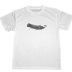 マッコウクジラ　ドライ　Tシャツ　クジラ　グッズ　鯨　ダイビング　海　ホエールウォッチング 1枚目の画像