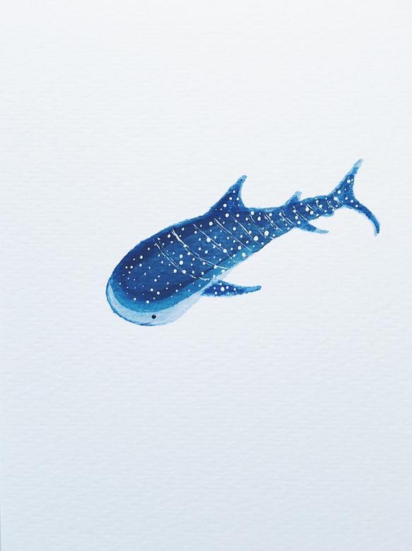 手描きのはがき クジラのサメ Whaleshark ジンベイザメ カード レター 家の形 通販 Creema クリーマ ハンドメイド 手作り クラフト作品の販売サイト