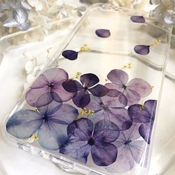 雨後春筍(紫色):: iPhone 手機殼 第2張的照片