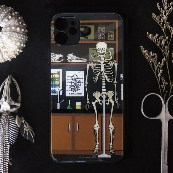 科学実験用携帯電話ケース/頭蓋骨標本 1枚目の画像