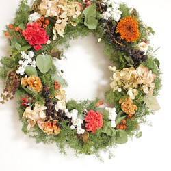 一冬飾れるケイトウとヨウシュヤマゴボウのChristmas wreath 1枚目の画像