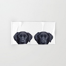 拉布拉多獵犬黑色，毛巾 第1張的照片