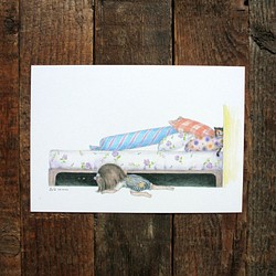 貓咪插畫明信片A-9〔躲床底下的貓〕 第1張的照片