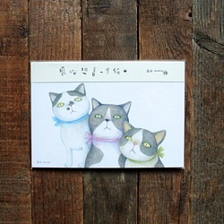 《臭咪想養一隻貓》貓咪插畫明信片A組（9枚／入） 第1張的照片