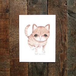 貓咪插畫明信片B-4〔名字叫小良的貓〕 第1張的照片