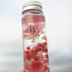 與實花||水色煙花 浮游花 乾燥花 不凋花 花罐 花瓶 擺設 手作 婚禮小物 第1張的照片
