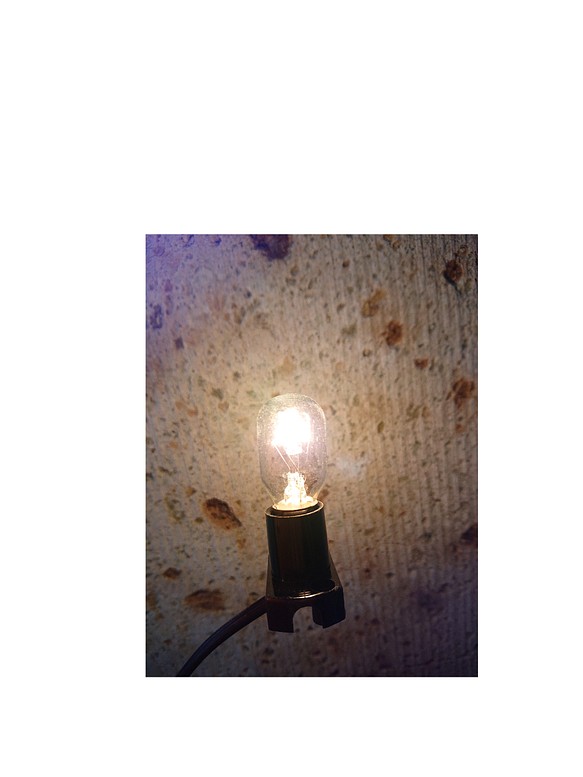 コード付きソケット(E12)と電球のセット 1枚目の画像
