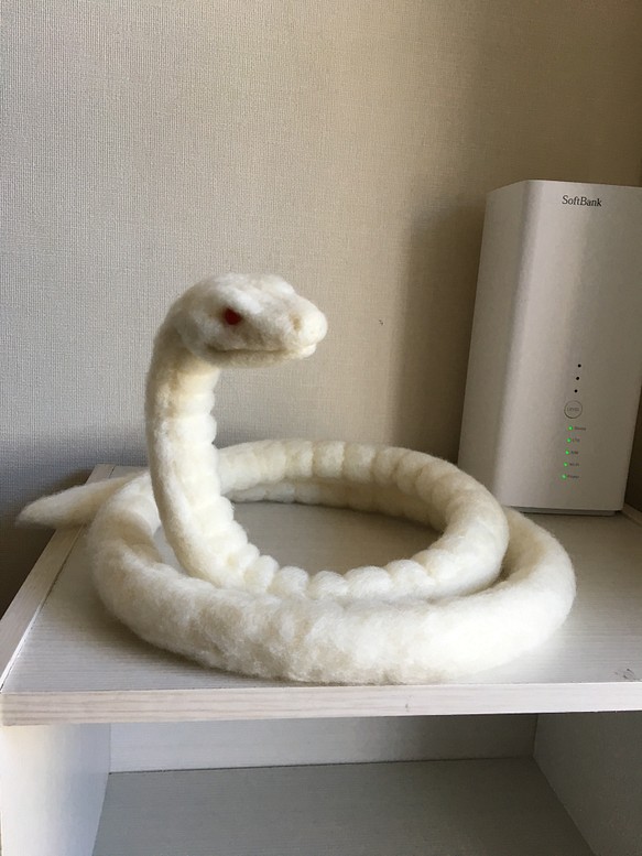 バジリスク 白蛇 1枚目の画像