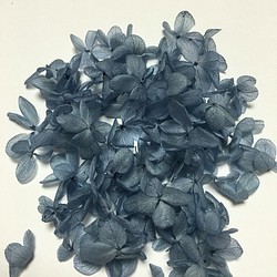 ロイヤルブルーの紫陽花ヘッド 1枚目の画像