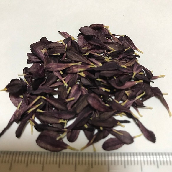 花びら 紫① ドライフラワー 1枚目の画像