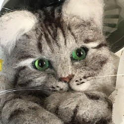 羊毛フェルト 猫 Bucket cat アメショー 1枚目の画像