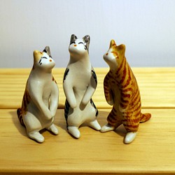 三隻貓貓(虎斑貓、橘斑貓、雙斑紋貓) 第1張的照片