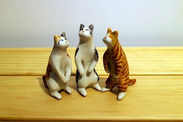 三隻貓貓(虎斑貓、橘斑貓、雙斑紋貓) 第1張的照片