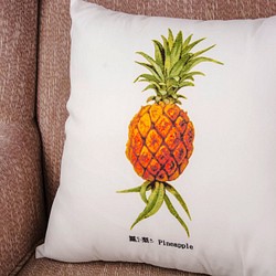 抱枕：鳳梨 Pineapple（雙面抱枕） 第1張的照片