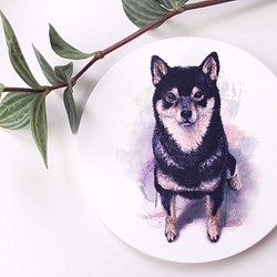【動物插畫】陶瓷吸水杯墊《黑柴犬》 第1張的照片
