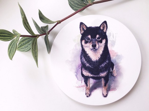 【動物插畫】陶瓷吸水杯墊《黑柴犬》 第1張的照片