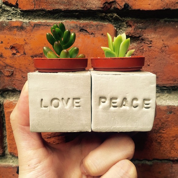 Love&Peace愛與和平//手作磁鐵盆栽組 第1張的照片