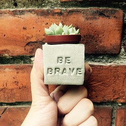 Be Brave~!! （勇敢面對）多肉磁鐵盆栽 第1張的照片