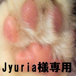 Jyuria様専用ページ　特注マスク収納×2個　卓上トイレットペーパーホルダー１個 1枚目の画像