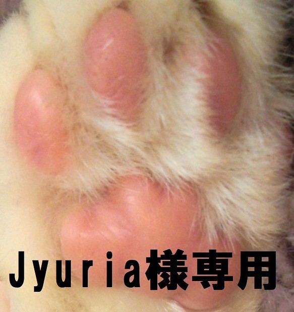 Jyuria様専用ページ　特注マスク収納×2個　卓上トイレットペーパーホルダー１個 1枚目の画像